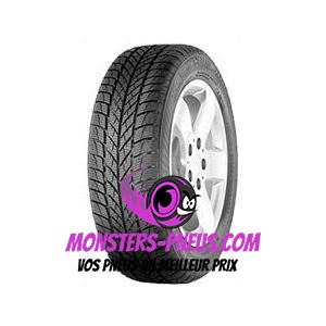 Pneu Gislaved Euro*Frost VAN 205 65 16 107 T Pas cher chez My Pneus